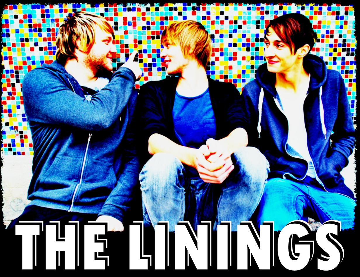 THE LININGS
